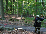 Freirumen Waldweg